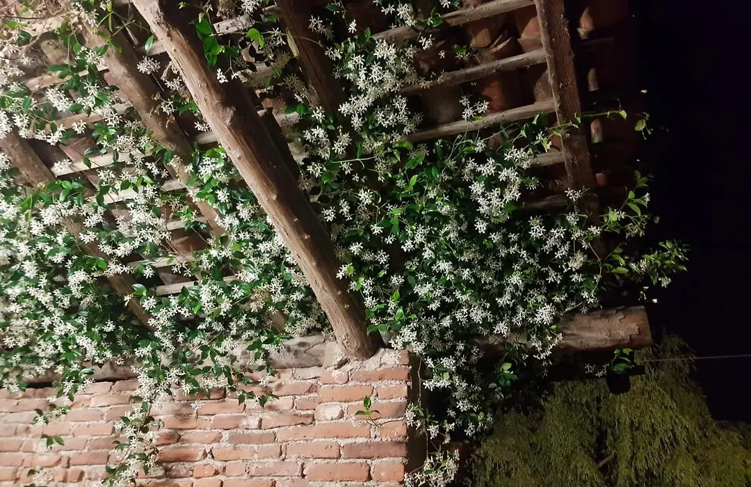 Az.Agr.Cascina Moretta-1